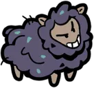 Black Sheep